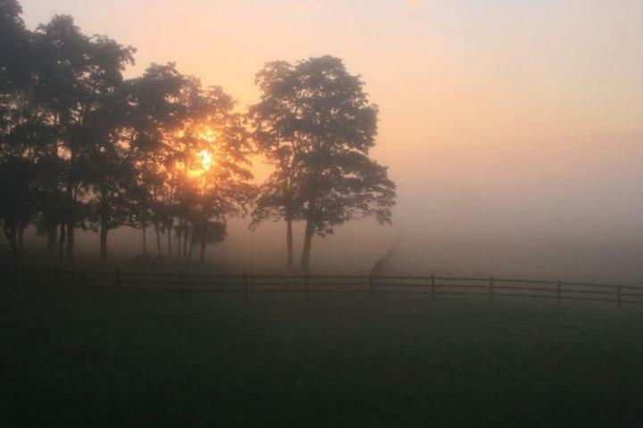 Отель Letchworth Farm Nunda Экстерьер фото