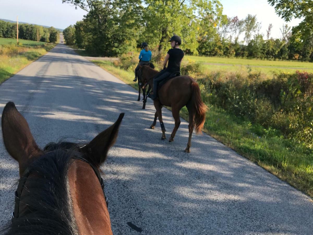 Отель Letchworth Farm Nunda Экстерьер фото