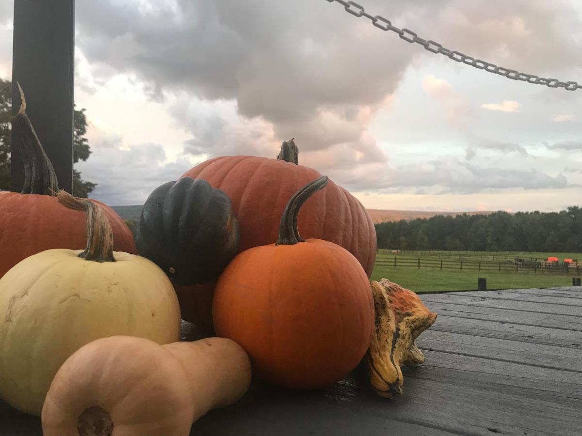 Отель Letchworth Farm Nunda Экстерьер фото